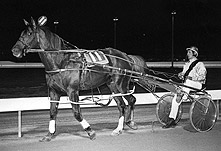 Gammalite 1980 SA Derby