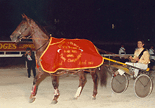 Gammalite 1983 Inter Dominion rug