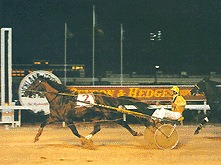 Gammalite 1983 Inter Dominion Final