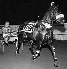 Hondo Grattan and Tony Turnbull