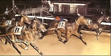 Hondo Grattan 1973 Pacing Championship