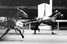 1974 Pacing Final Hondo Grattan