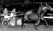 Hondo Grattan 1974 Miracle Mile