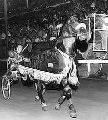 Hondo Grattan 1973 Pacing Championship