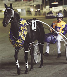 Parading after the 2012 Inter Dominion 