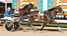 Pride of Petite 1996 Trotting Championship