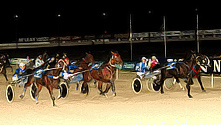 Pride of Petite 1997 Trotting Championship