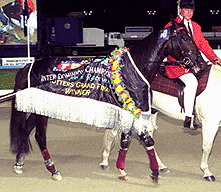 Take A Moment 2001 Inter Dominion Rug