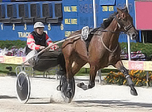 Tony Herlihy and Delft NZ